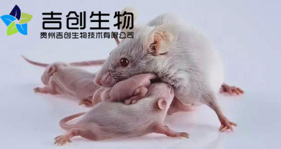 貴州細胞生物學實驗公司