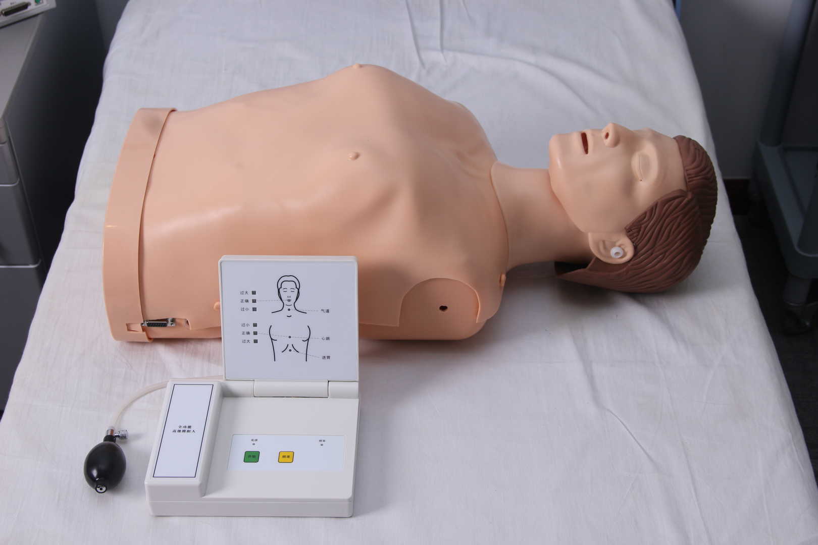 Half Body CPR Training Manikin (Counting)