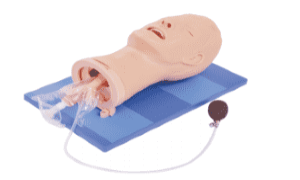 Airway Management Model