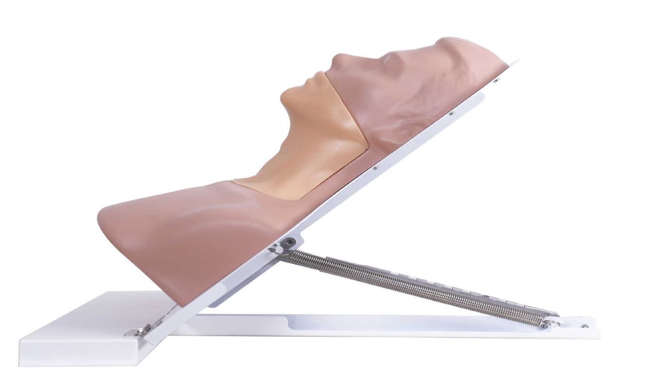 Thyroid Ultrasound Training Model